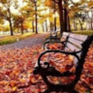 Meet your Posher, Blessy